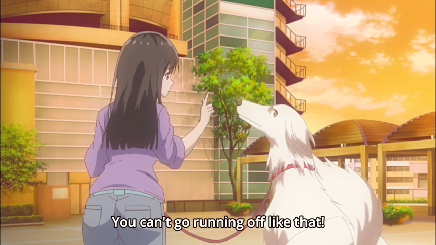 Screen Shot 2019-07-15 at 3.50.20 PM.png